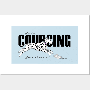 Dalmatian Lure Coursing Posters and Art